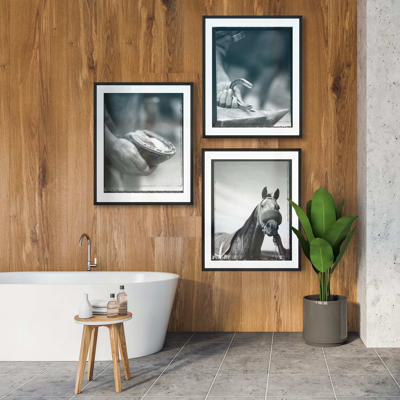 Triptych No. 002 Caballo