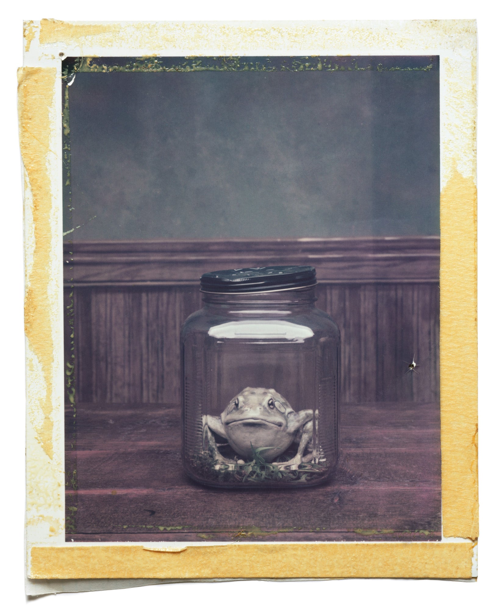The Frog, Hudson Street, 2002