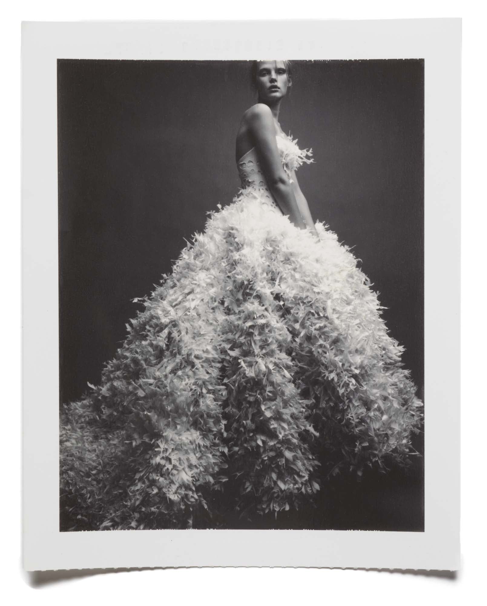 Collection No. 081 - POLAROIDS