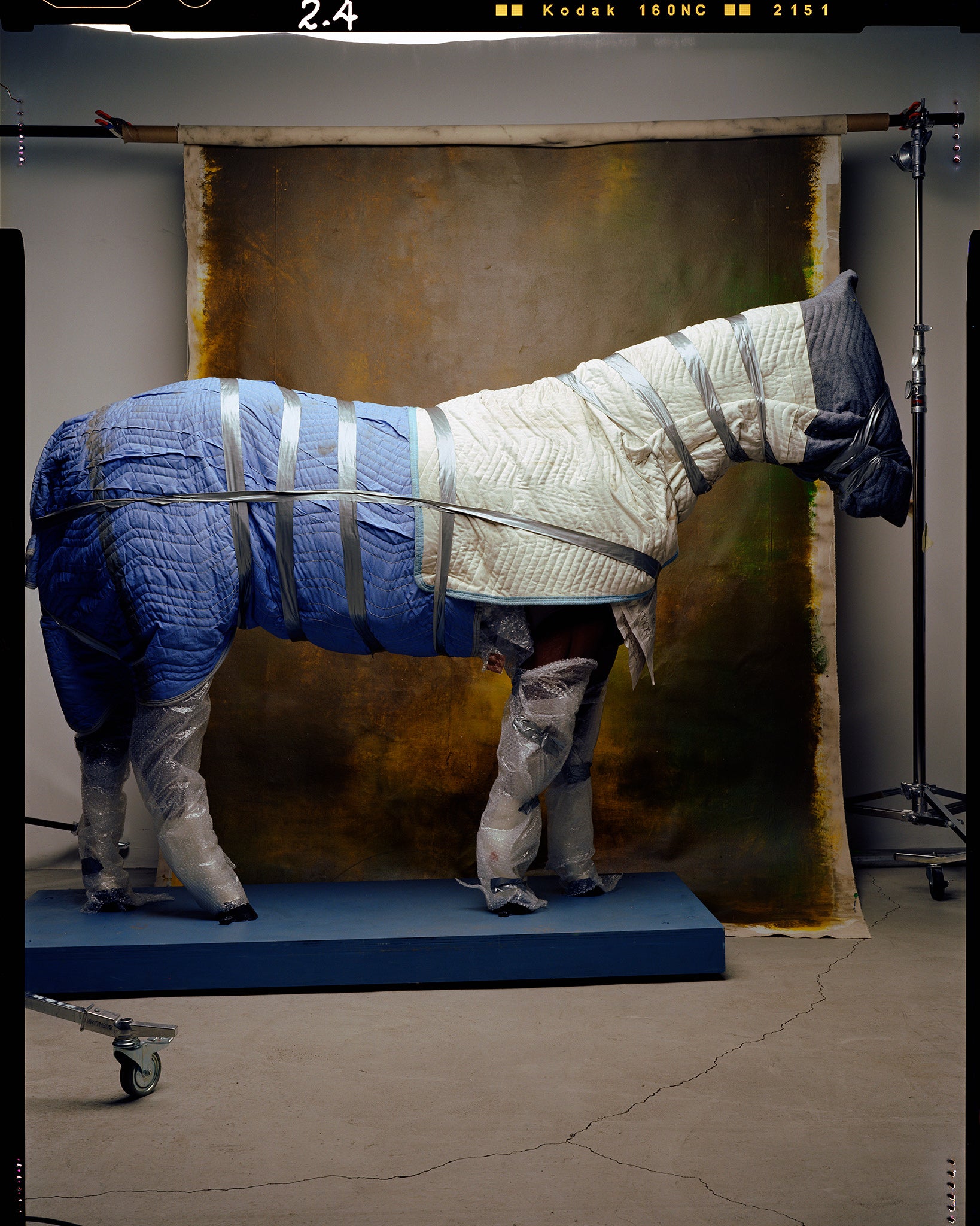 Wrapped Horse, New York City, 2002