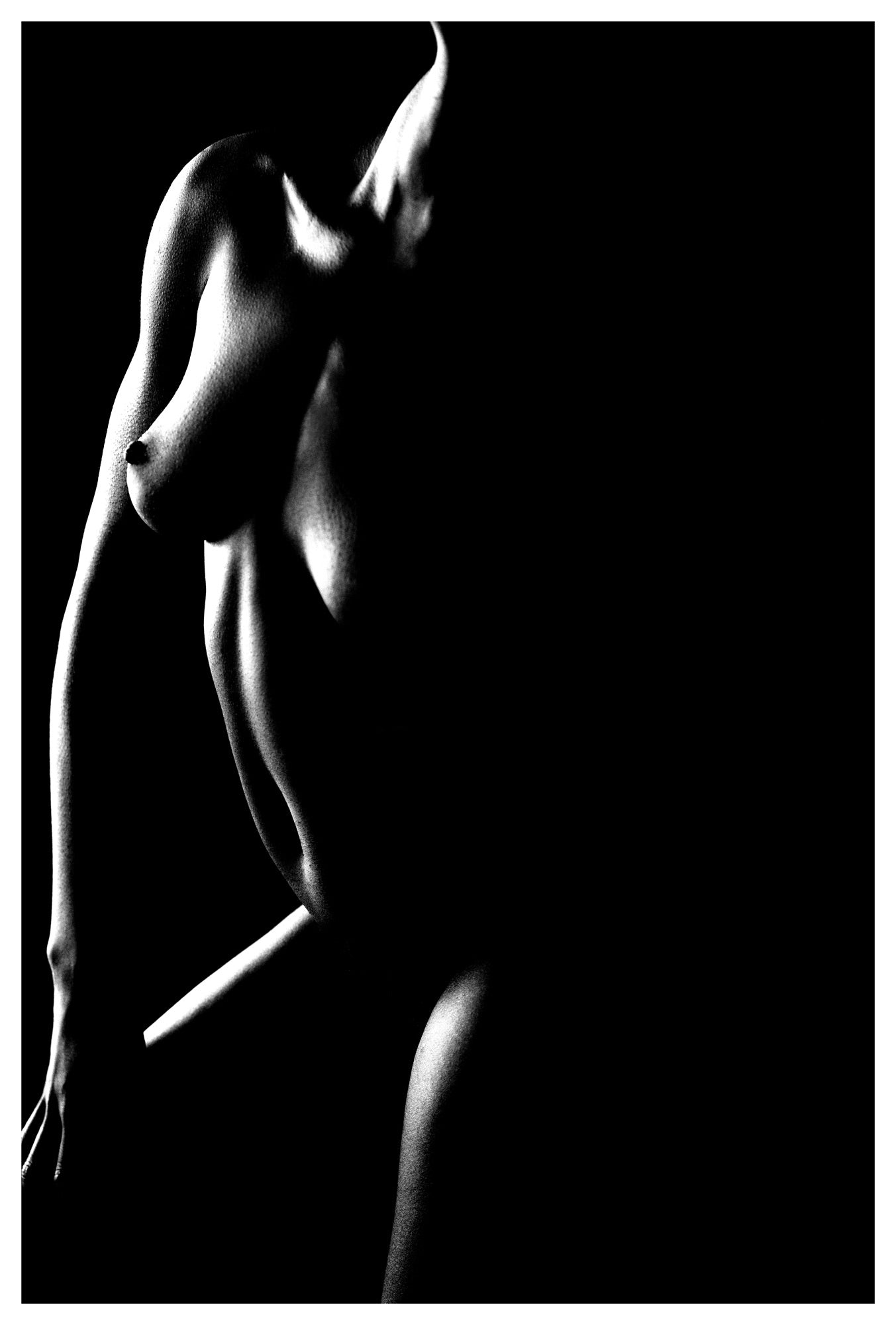 Torso, Los Angeles, 2022