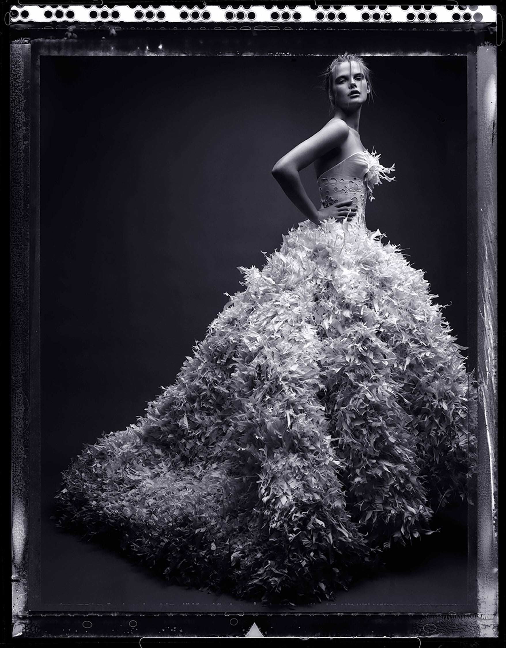 BEKAH JENKINS, FILM, CLASSIC, NEW YORK TIMES, NY MAGAZINE, CHIC