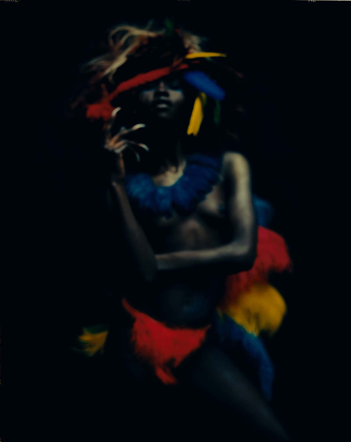 CLARA BENJAMIN, FEATHERS, RED, ROUGE, DIEGO UCHITEL, FINE ART