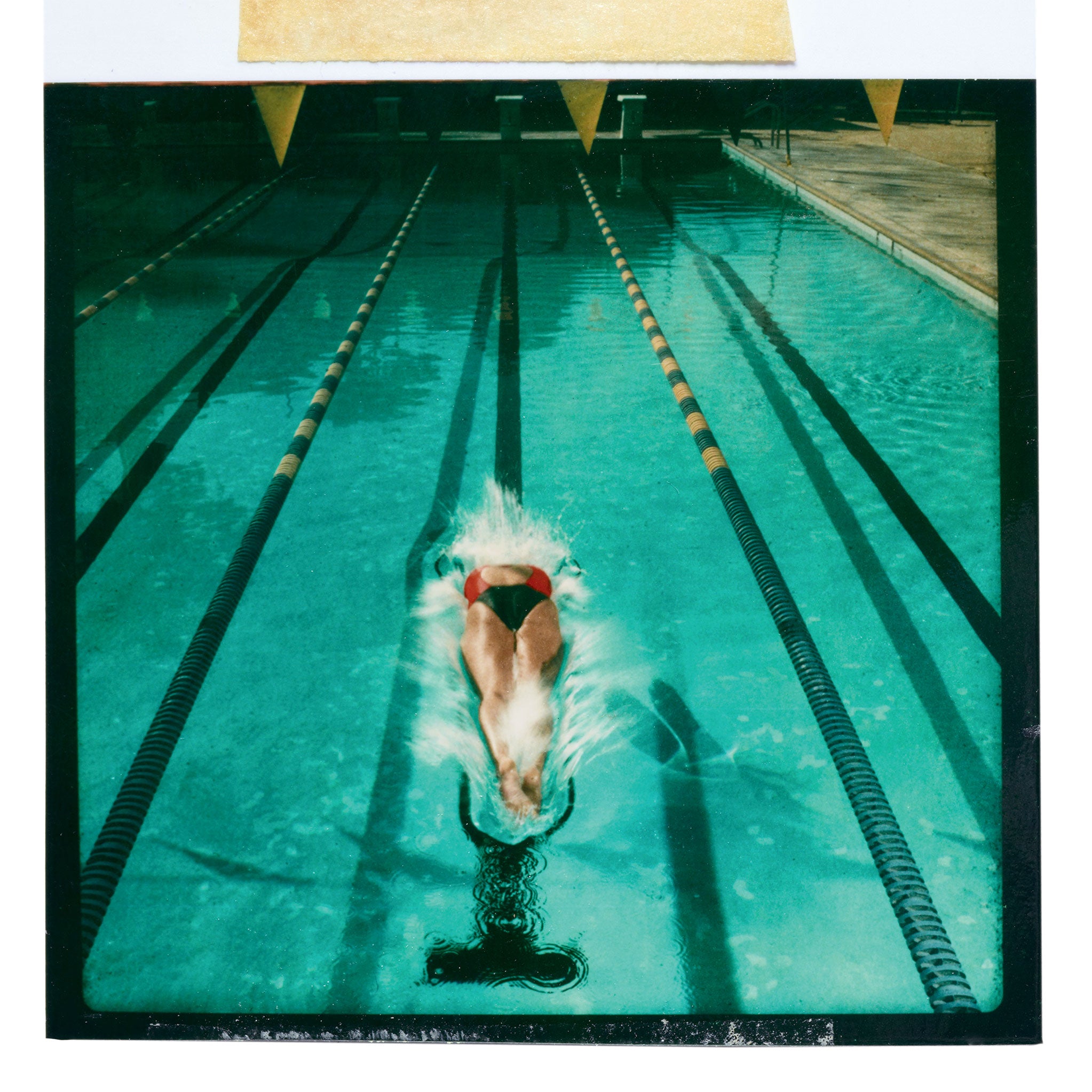 Novogratz, novogratz art, interior design, swim, tropical, dive, diego uchitel, 